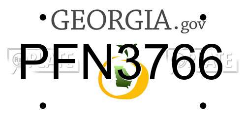 PFN3766 Georgia License Plate
