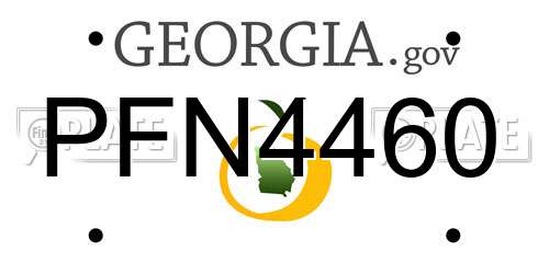 PFN4460 Georgia License Plate