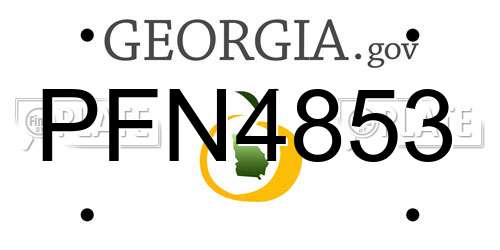 PFN4853 Georgia License Plate