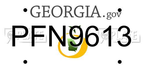 PFN9613 Georgia License Plate