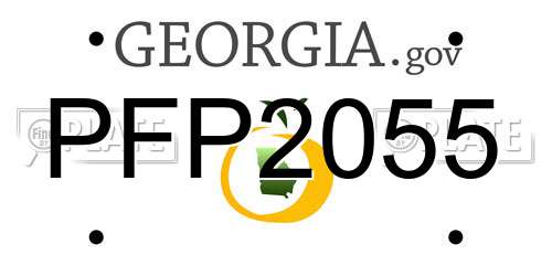PFP2055 Georgia License Plate