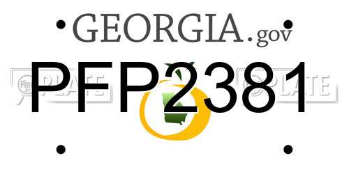 PFP2381 Georgia License Plate