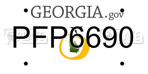 PFP6690 Georgia License Plate