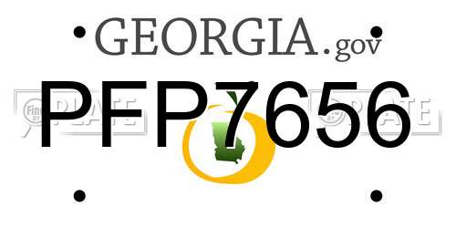 PFP7656 Georgia License Plate