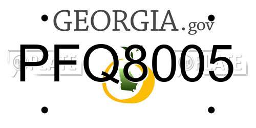 PFQ8005 Georgia License Plate