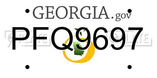 PFQ9697 Georgia License Plate