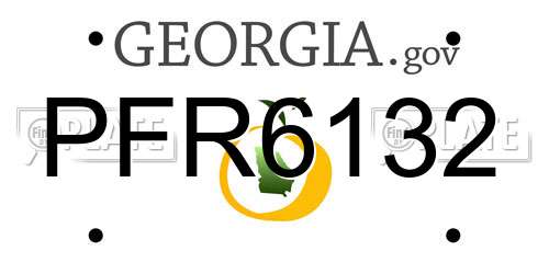 PFR6132 Georgia License Plate