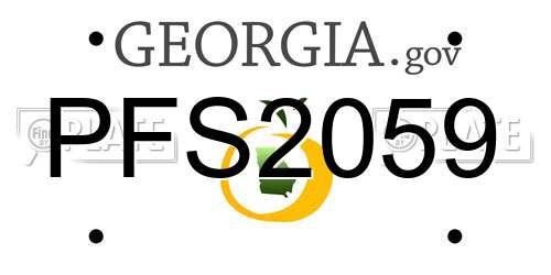 PFS2059 Georgia License Plate