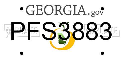 PFS3883 Georgia License Plate