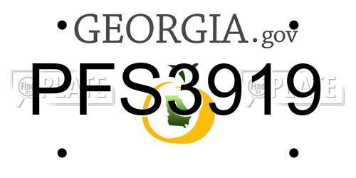 PFS3919 Georgia License Plate