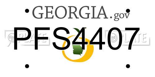 PFS4407 Georgia License Plate