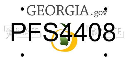 PFS4408 Georgia License Plate