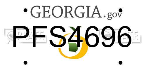 PFS4696 Georgia License Plate