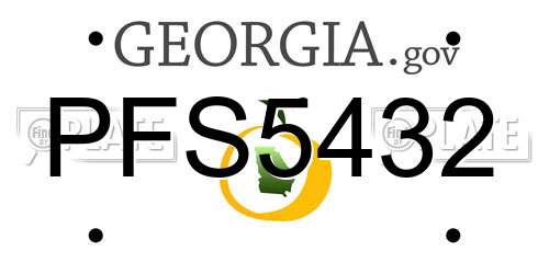 PFS5432 Georgia License Plate