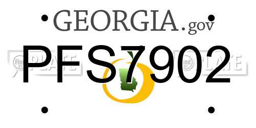 PFS7902 Georgia License Plate