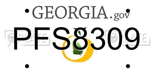 PFS8309 Georgia License Plate