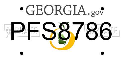 PFS8786 Georgia License Plate
