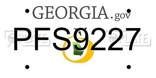 PFS9227 Georgia License Plate
