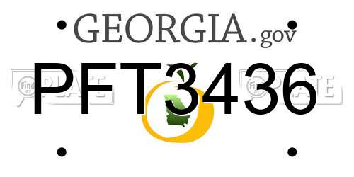 PFT3436 Georgia License Plate