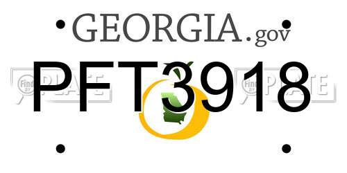 PFT3918 Georgia License Plate