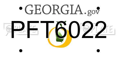 PFT6022 Georgia License Plate