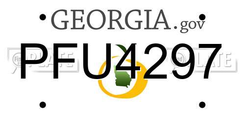 PFU4297 Georgia License Plate