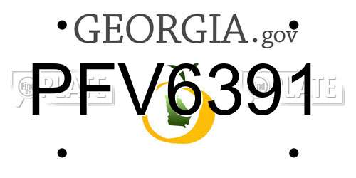 PFV6391 Georgia License Plate