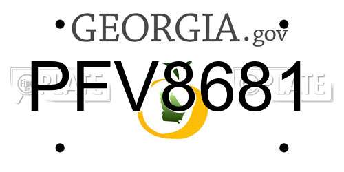 PFV8681 Georgia License Plate