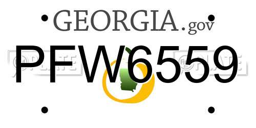 PFW6559 Georgia License Plate