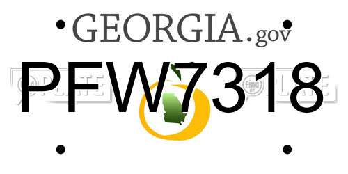 PFW7318 Georgia License Plate