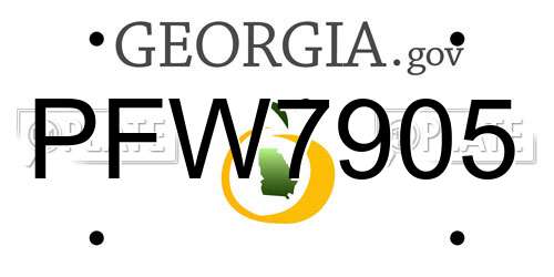 PFW7905 Georgia License Plate