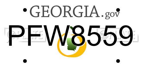 PFW8559 Georgia License Plate