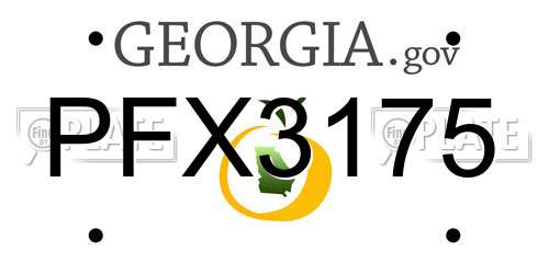 PFX3175 Georgia License Plate