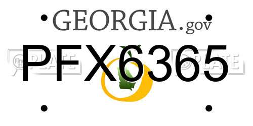 PFX6365 Georgia License Plate