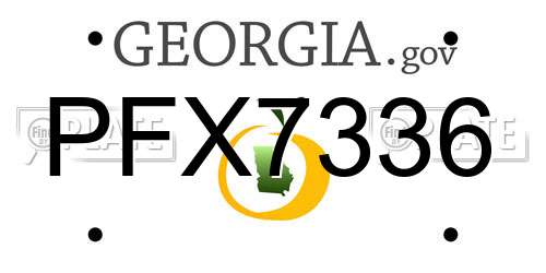 PFX7336 Georgia License Plate