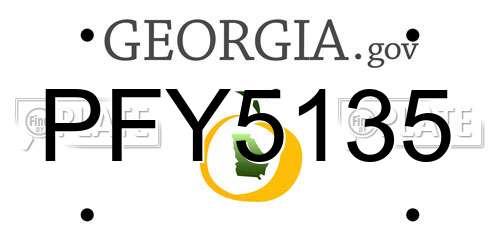 PFY5135 Georgia License Plate