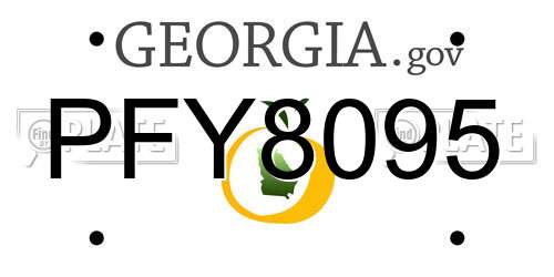 PFY8095 Georgia License Plate