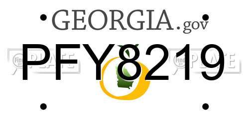 PFY8219 Georgia License Plate