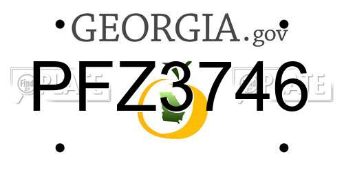 PFZ3746 Georgia License Plate