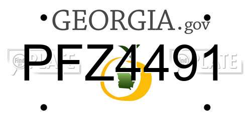 PFZ4491 Georgia License Plate