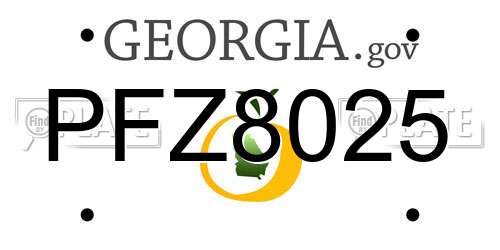PFZ8025 Georgia License Plate