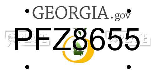 PFZ8655 Georgia License Plate