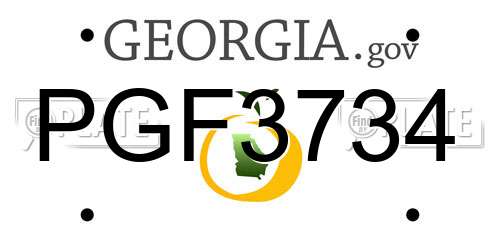 PGF3734 Georgia License Plate