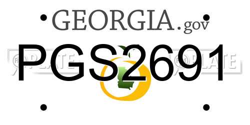 PGS2691 Georgia License Plate