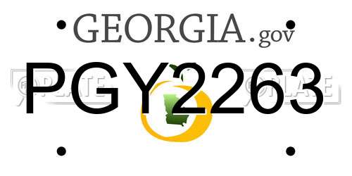 PGY2263 Georgia License Plate