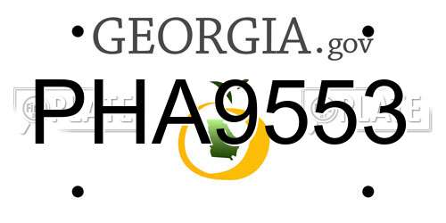 PHA9553 Georgia License Plate