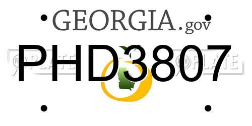 PHD3807 Georgia License Plate