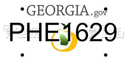 PHE1629 Georgia License Plate
