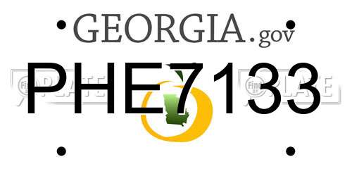 PHE7133 Georgia License Plate