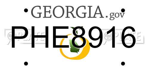 PHE8916 Georgia License Plate